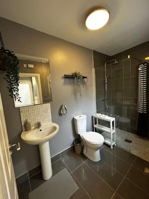 Vibrant City Centre Townhouse With Free Parking Rare Outdoor Patio Belfast Buitenkant foto