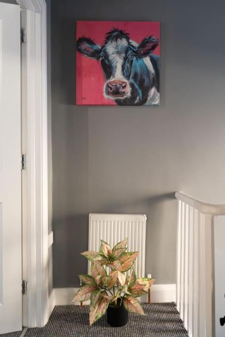 Vibrant City Centre Townhouse With Free Parking Rare Outdoor Patio Belfast Buitenkant foto